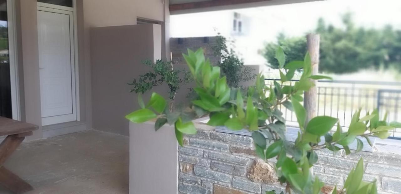 Petries Studios Agioi Apostoloi  Exteriör bild